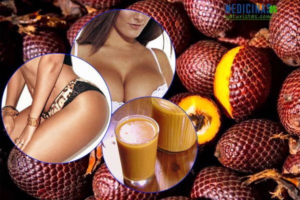 Aguaje fuente de hormonas, propiedades medicinales