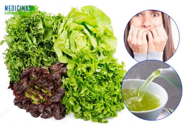 Lechuga para calmar los nervios y aliviar el dolor