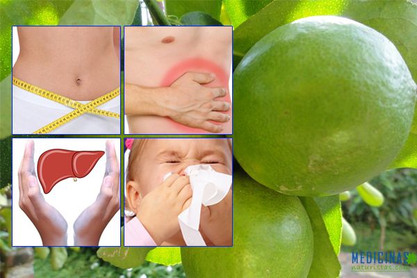 Limón alcaliniza tu cuerpo y cura tus enfermedades