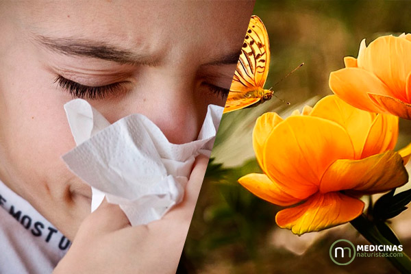 9 recomendaciones para evitar los síntomas de rinitis en primavera