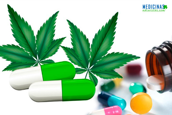 Epilepsia: Norman uso de Cannabis en Perú