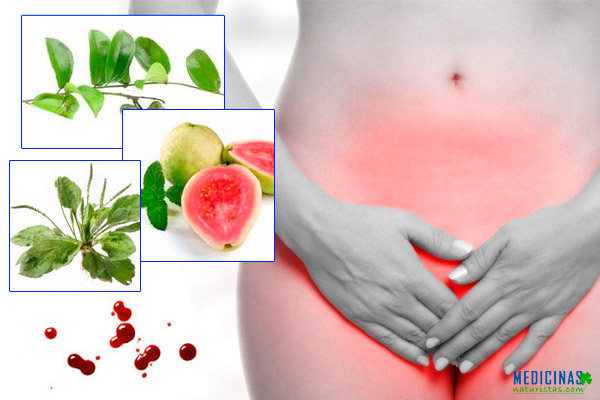 Hemorragia uterina causas y alternativas naturales