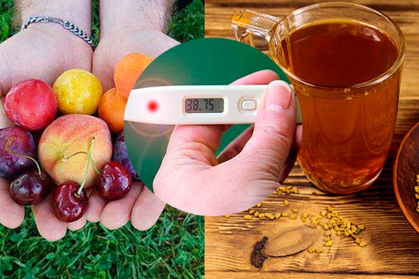 Dieta para pacientes con fiebre