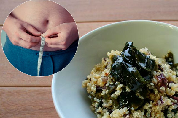 Obesidad +10 recetas para tu dietas saludable