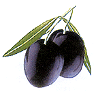 Aceitunas peruanas