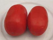 tomates