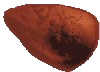 Almendra