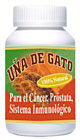 U&ntilde;a de Gato