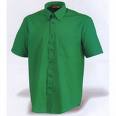http://tbn0.google.com/images?q=tbn:YEyS7P8qeGp04M:http://tienda.blisspublicidad.com/images/camisa_laboral_mc.jpg