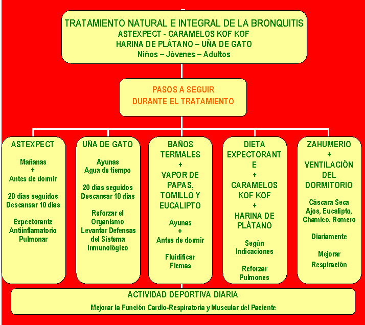 Organigrama