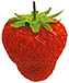 fresa