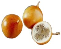 Granadilla