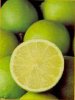 limon