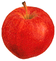 MAnzana