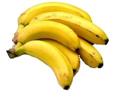 Platano