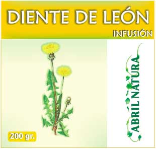 Diente de Leon