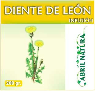 diente de leon