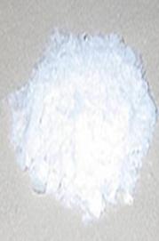 Sal Marina