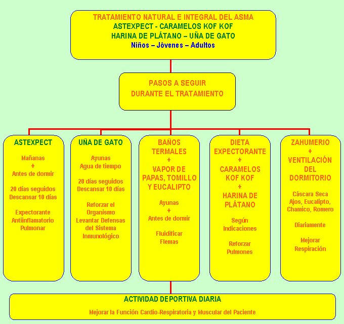 Organigrama