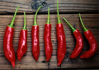aji colorado