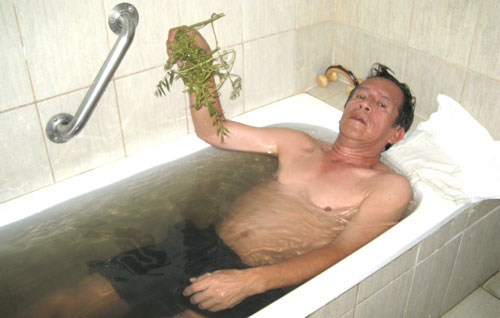 ba&ntilde;os medicinales medicinas naturistas