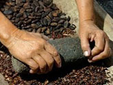 Cacao en polvo diabetes