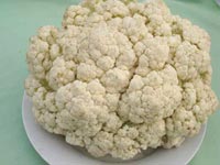 coliflor