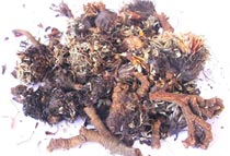 pasuchaca