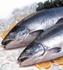 pescado