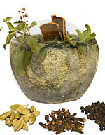 alimentacion medicinal guia