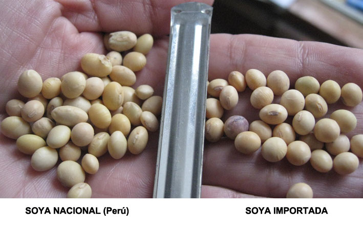 soya peruana