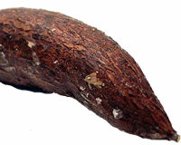 Yuca