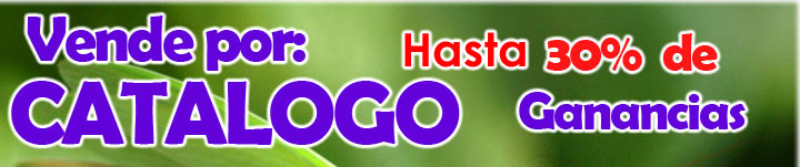 catalogo